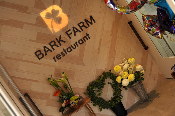 110302 chika 50 DSC_4072.jpg